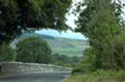 Cork Coll pic 8